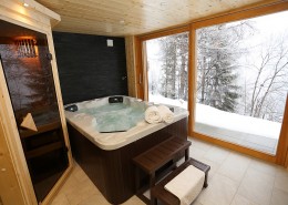 Dedicated spa room with sauna and jacuzzi and amazing views
